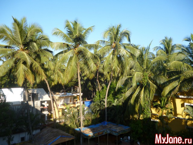 ���� �����������