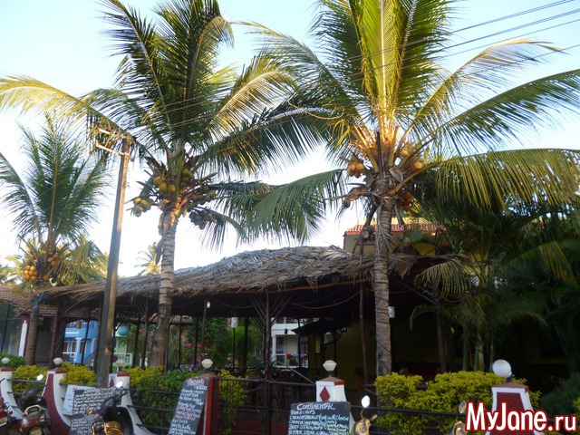 ���� �����������