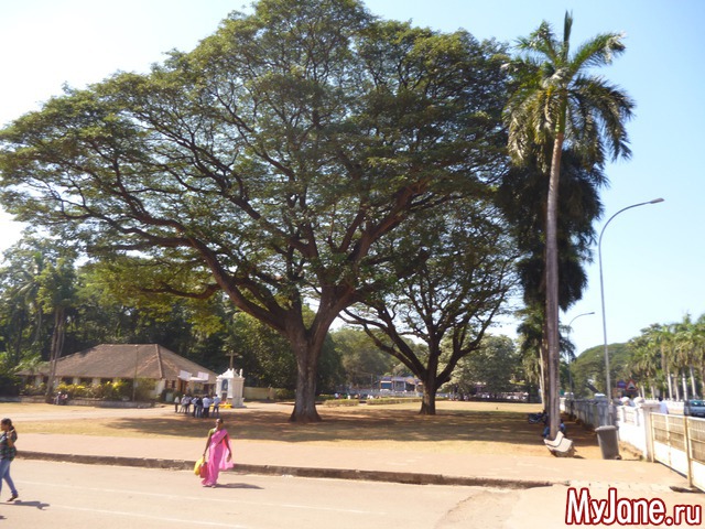 ���� �����������