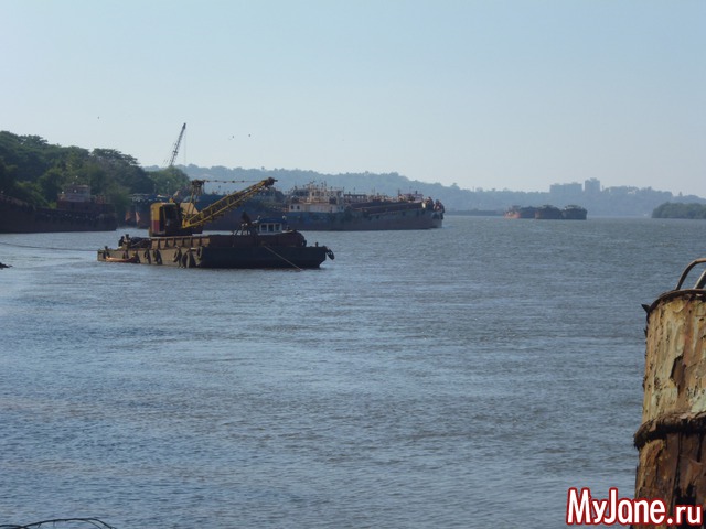 ���� �����������