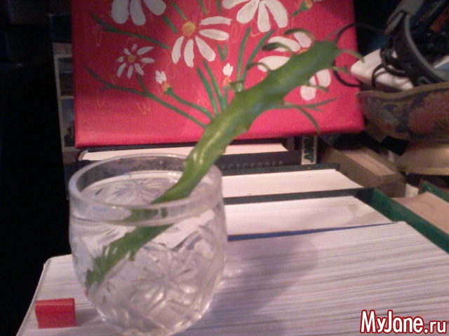 ���������.