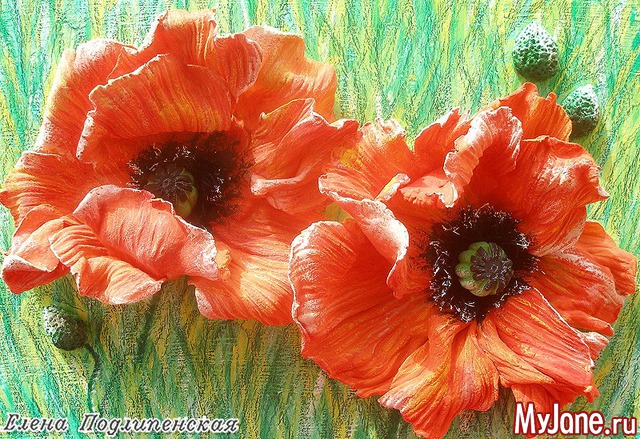 ������� �� �������� �����