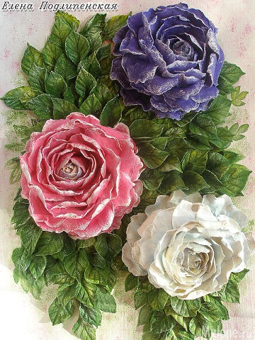 ������� �� �������� �����