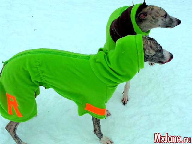 ��� ������� ���� � ��� ( 2015, ������ )