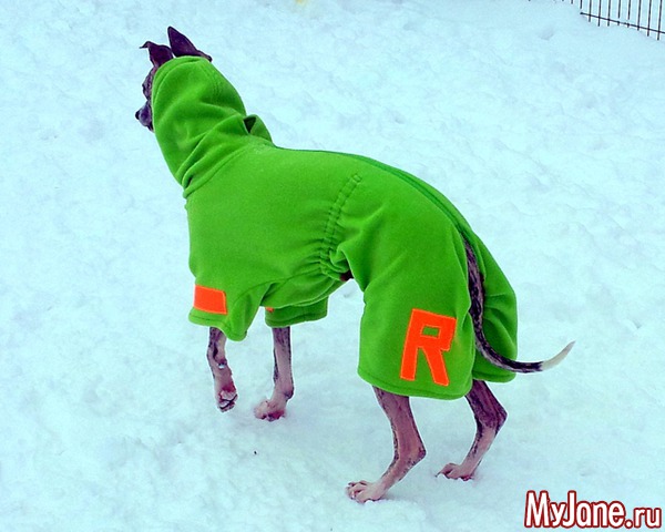 ��� ������� ���� � ��� ( 2015, ������ )