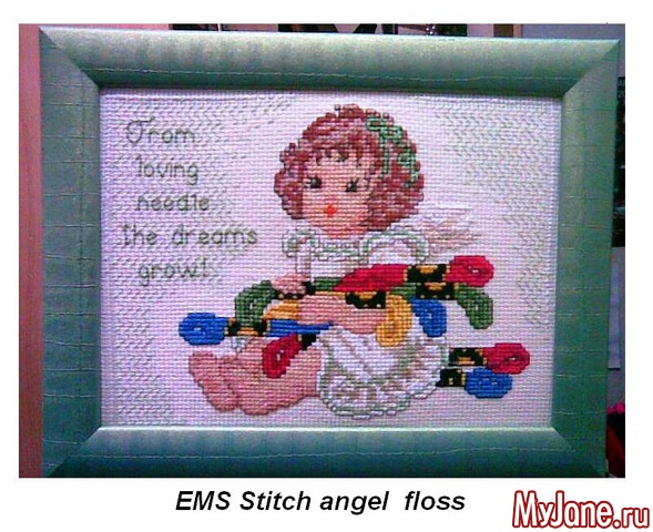EMS Stitch angel  floss