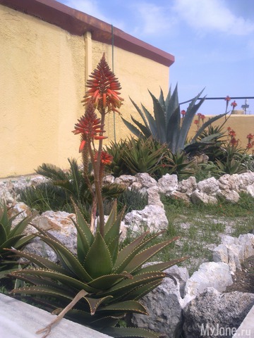 ��������� �������