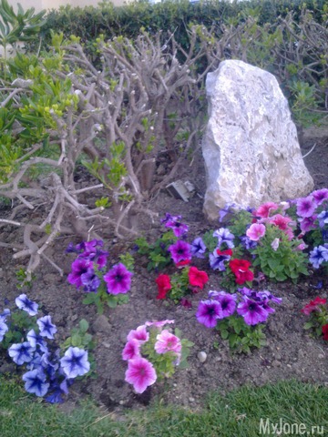 ��������� �������