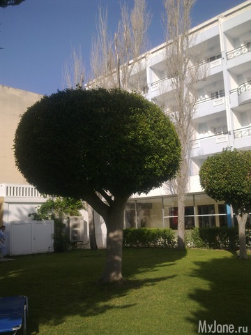 ����� �����