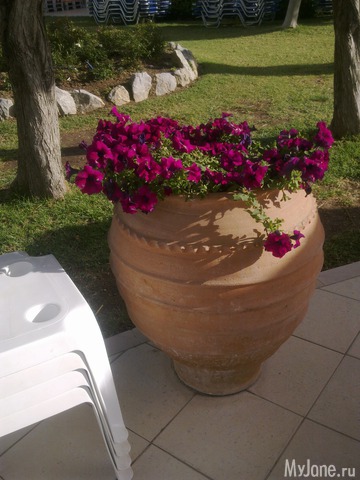 ��������� �������