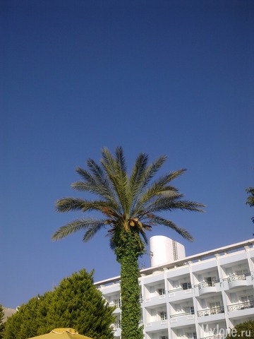 ��������� �������