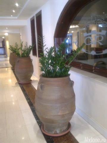 ��������� �������