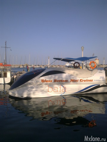 ���� ��������