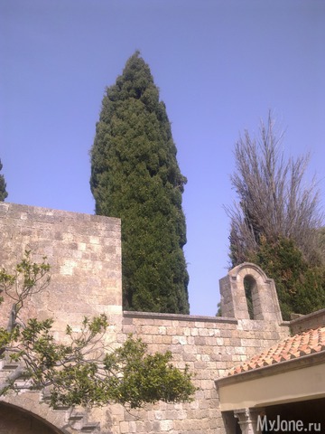 ��������� �������