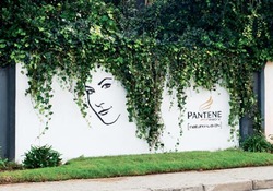 ������������ ����� ������ � �������