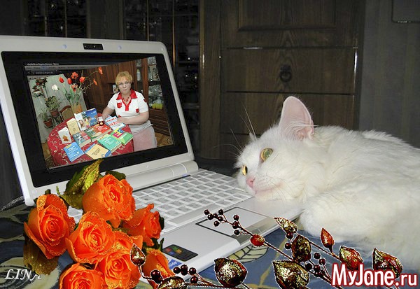 ���������� � ���� ���