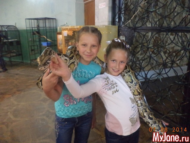 � �������������