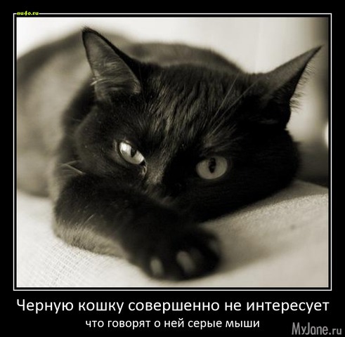 ��� ������