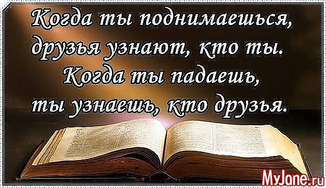 ��� ������