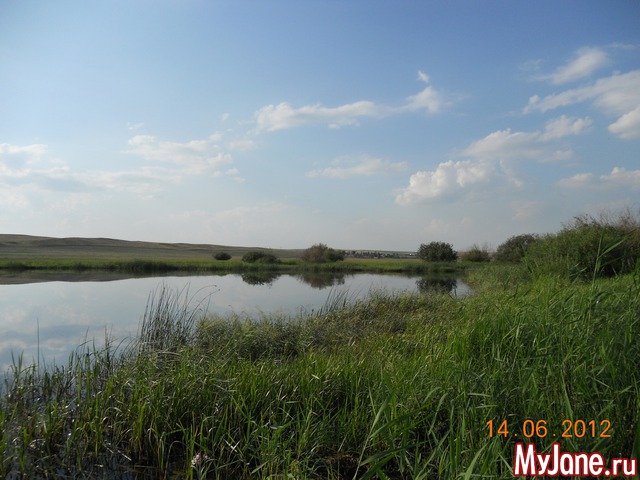 ������� - ���� ����