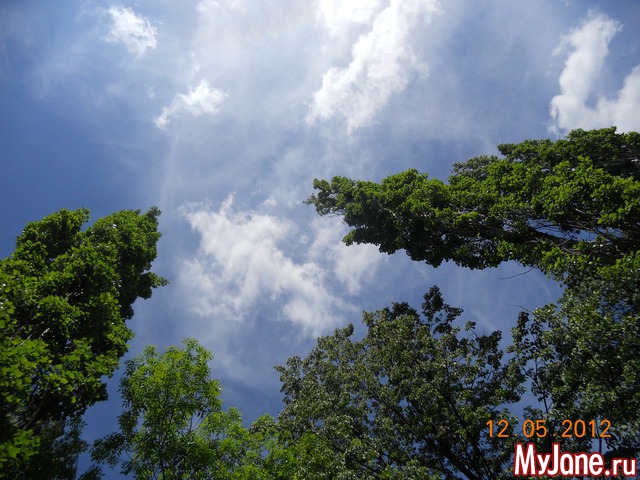 ������� - ���� ����