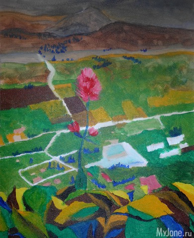 ���������