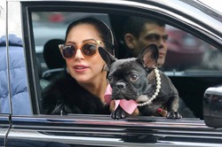 ���� ���� ����� ���������� ������ ��� �����