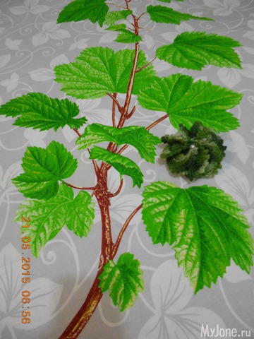 ��� ����