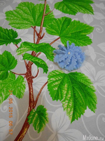 ��� ����