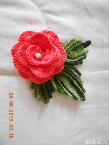 ��� ����