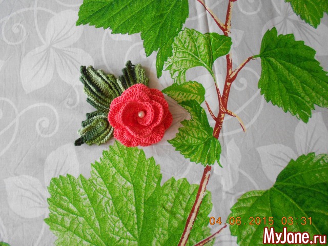 ��� ����