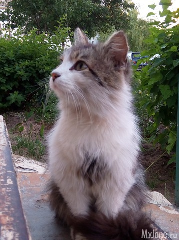 ����������