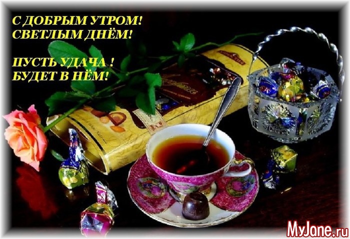 � ������ �����