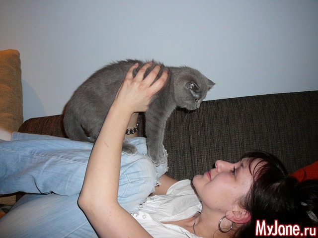 ��������� �����