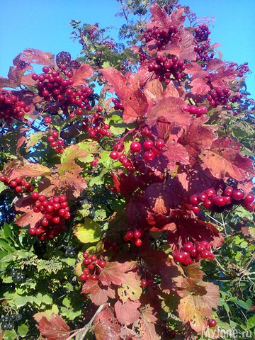 ����� �� ����