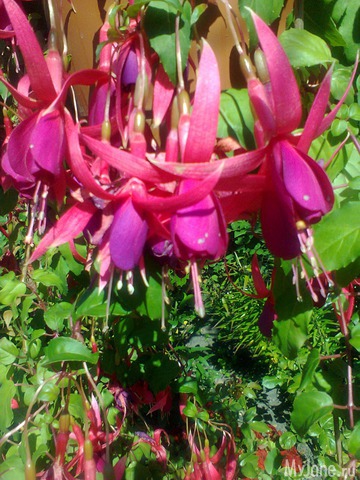 ����� �� ����