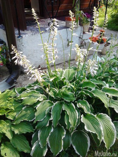 ����� �� ����