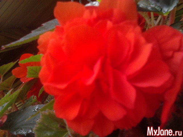 ����� �� ����