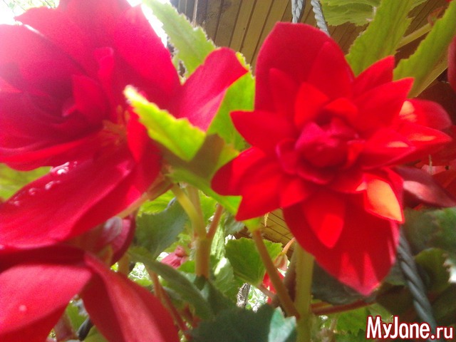 ����� �� ����