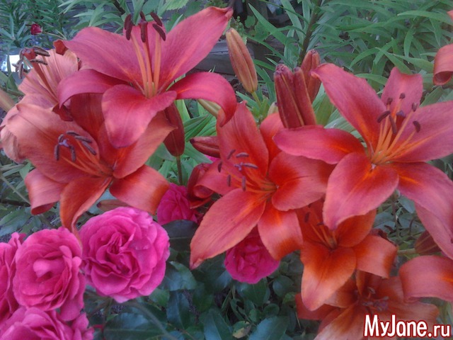 ����� �� ����