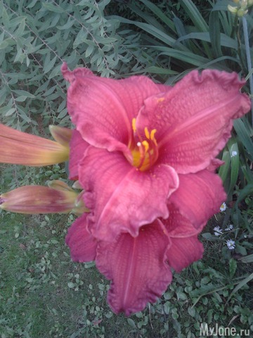 ����� �� ����