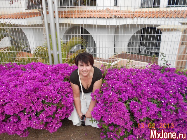 ����� �� ����