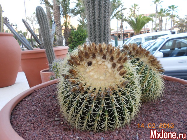 ����� �� ����