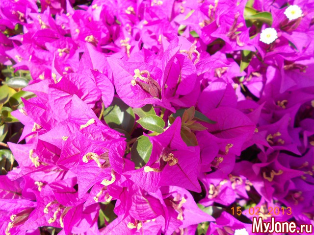 ����� �� ����