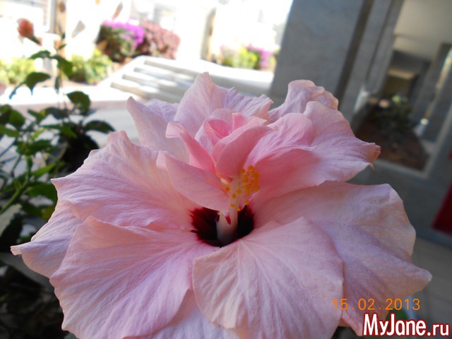 ����� �� ����