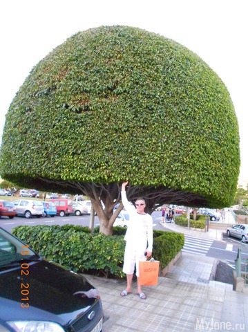 ����� �� ����