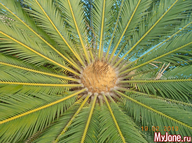 ����� �� ����