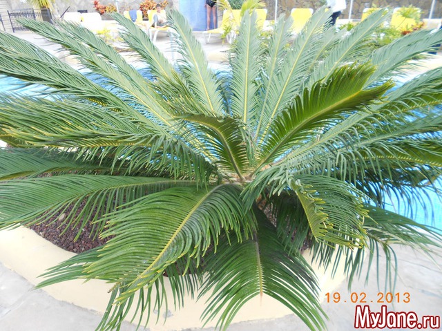 ����� �� ����