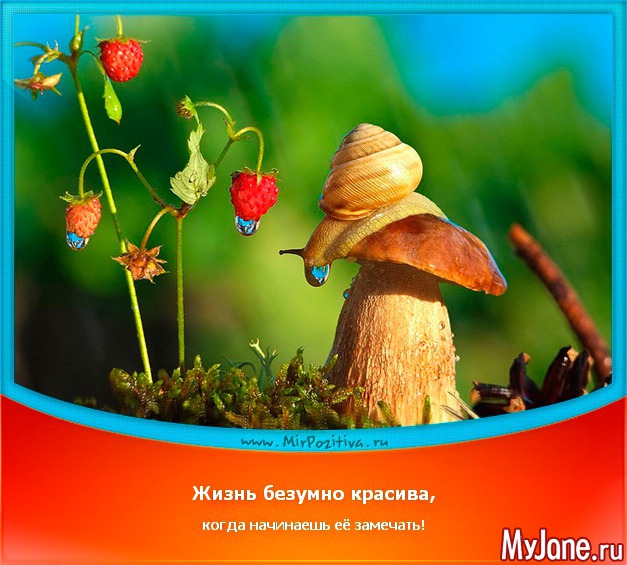 �������-�-����