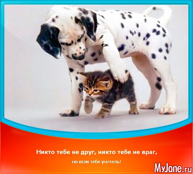 �������-�-����